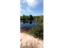 IMG 20210605 121951.jpg