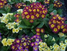 ������� ����. ���� �� 1 ��. 30 �