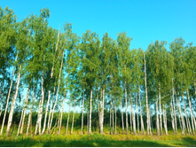 20210627 ��ͣ������� ���� 5 064140.jpg