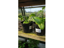 ����������� viber 2021-06-03 10-08-08.jpg