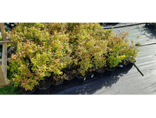 ����������� viber 2021-06-02 13-16-25.jpg