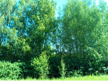 20210619 ��� ������ ����� 100908.jpg