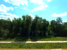 20210606 5-������� 101559.jpg