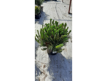 ����������� viber 2021-06-02 13-12-31.jpg