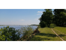 IMG 20210620 133702.jpg