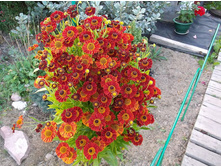 �������� ������