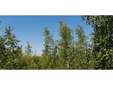 IMG 20210605 111958.jpg