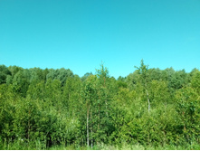 20210619 ��� ������ ����� 083040.jpg