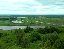 20210605 �� �������� ������ ��� 155256.jpg