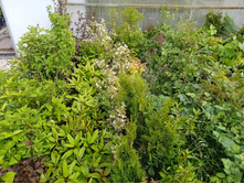 ����������� viber 2021-06-09 16-47-49.jpg