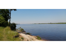 IMG 20210620 135322.jpg