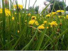 IMG 20210521 122712 — �����.jpg