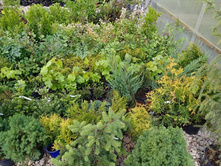 ����������� viber 2021-06-09 16-48-27.jpg