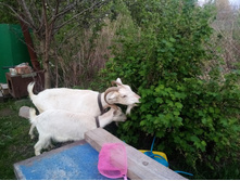 IMG 20210515 195842 — �����.jpg