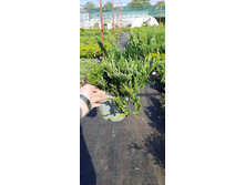 ����������� viber 2021-06-02 13-16-15.jpg