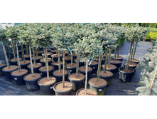 ����������� viber 2021-06-02 13-13-51.jpg