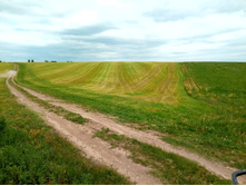 20210605 �� �������� ������ ��� 153013.jpg