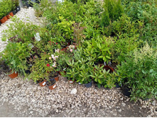 ����������� viber 2021-06-09 16-48-08.jpg