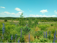 20210620 �� ������-������� 122816.jpg