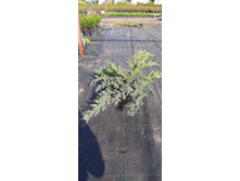 ����������� viber 2021-06-02 13-15-50.jpg