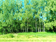 20210619 ��� ������ ����� 091031.jpg