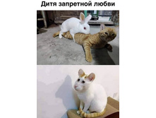 IMG 20210611 101156.jpg