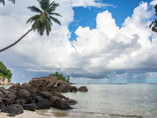 Seychelles036.jpg