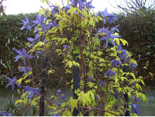 �������� ��������� ����.jpg