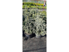 ����������� viber 2021-06-02 13-14-01.jpg