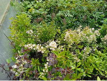 ����������� viber 2021-06-09 16-47-29.jpg