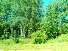 20210619 ��� ������ ����� 091022.jpg