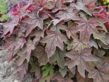 ���������� ��������� Art Deco ��� ����.jpg