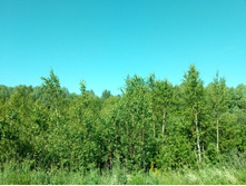 20210619 ��� ������ ����� 083039.jpg