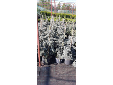 ����������� viber 2021-06-02 13-14-22.jpg