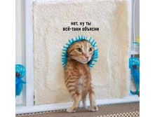 ���, �� �� �ӣ-���� �������!