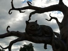 IMG 20210603 170634.jpg