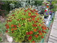 �������� ������