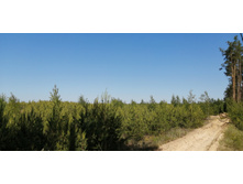 IMG 20210605 101335.jpg