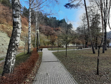 20201206 115123.jpg
