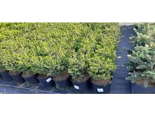 ����������� viber 2021-06-02 13-14-34.jpg