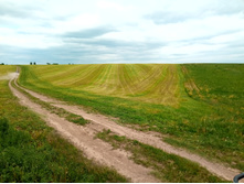 20210605 �� �������� ������ ��� 153014.jpg