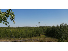 IMG 20210605 112427.jpg