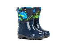 ������ ����������� ����