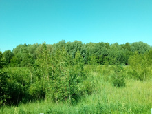 20210619 ��� ������ ����� 083048.jpg