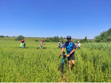 IMG 20210619 104831-01.jpeg