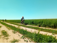 20210619 ��� ������ ����� 125205.jpg