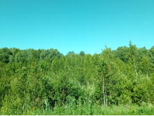 20210619 ��� ������ ����� 083041.jpg