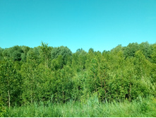 20210619 ��� ������ ����� 083042.jpg