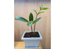 ������������ 150�