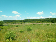 20210620 �� ������-������� 122813.jpg